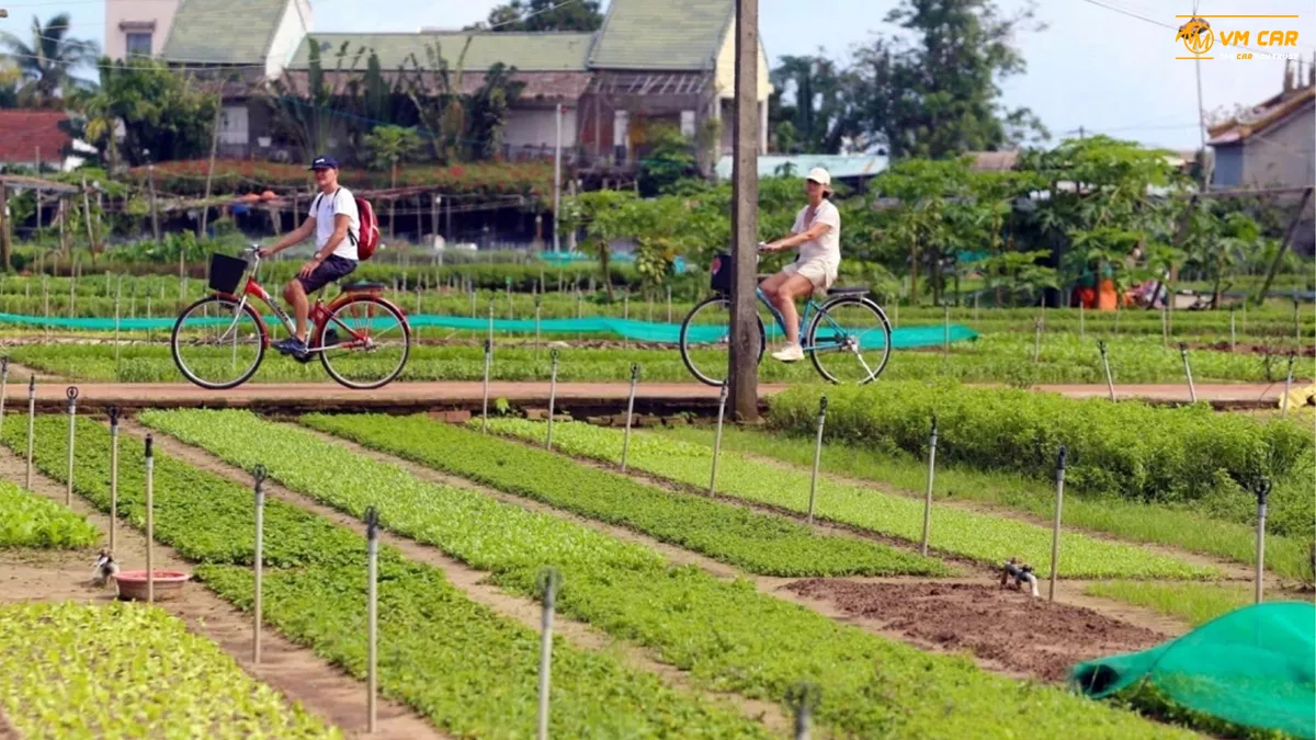Cycle through Tra Que Vegetable Village
