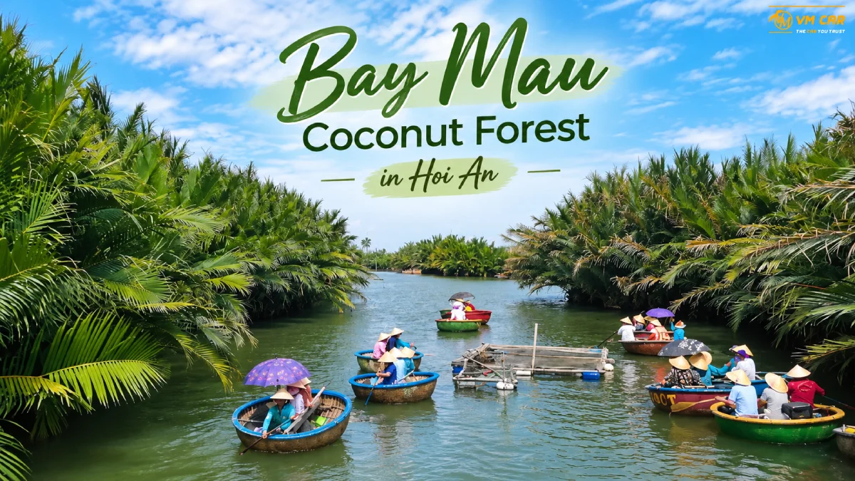 Bay Mau Coconut Forest Hoi An