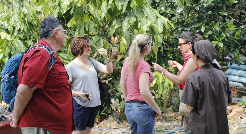Cai Be fruit orchards