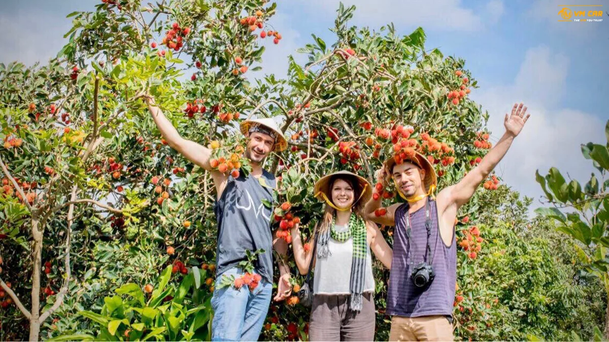 Ho Chi Minh To Cai Be By Private Car 3 Discover a variety of tropical fruits at the orchard