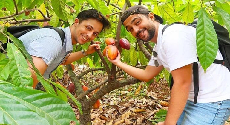 Ho Chi Minh to Can Tho private car