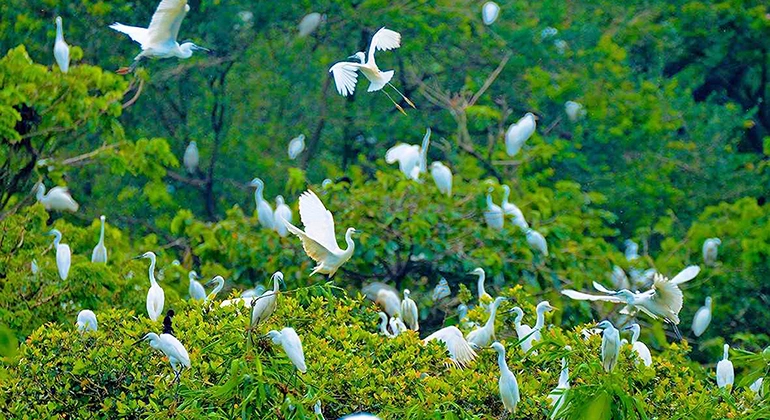 Ho Chi Minh to Can Tho car rental