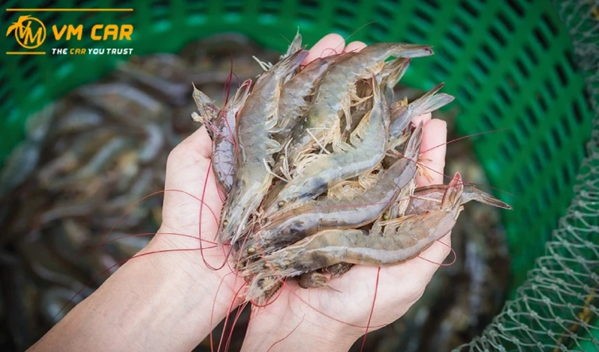 fresh seafood at Chuon Lagoon