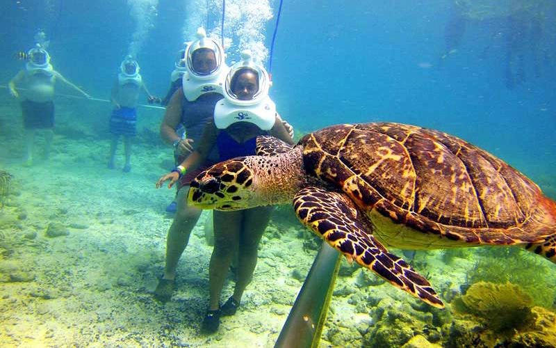 Walking under the sea