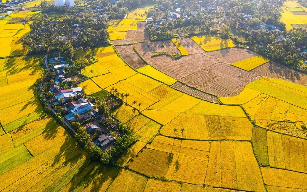 Peaceful scenery in Quy Nhon countryside