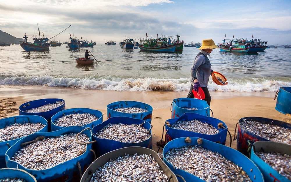 Nhon Ly fishing village in Quy Nhon