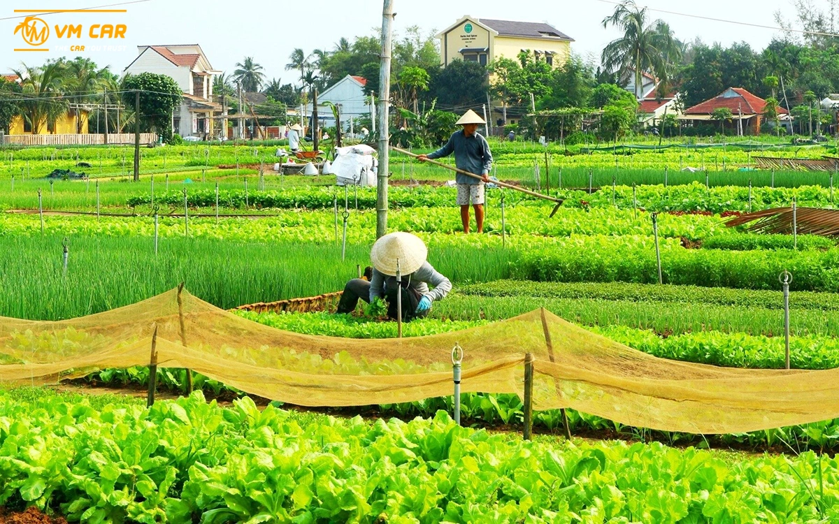 Peaceful village next to the old town