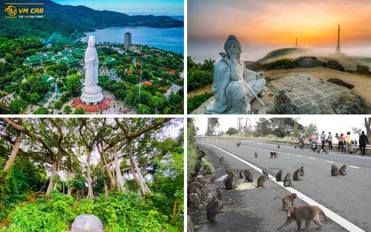 Explore Monkey Mountain