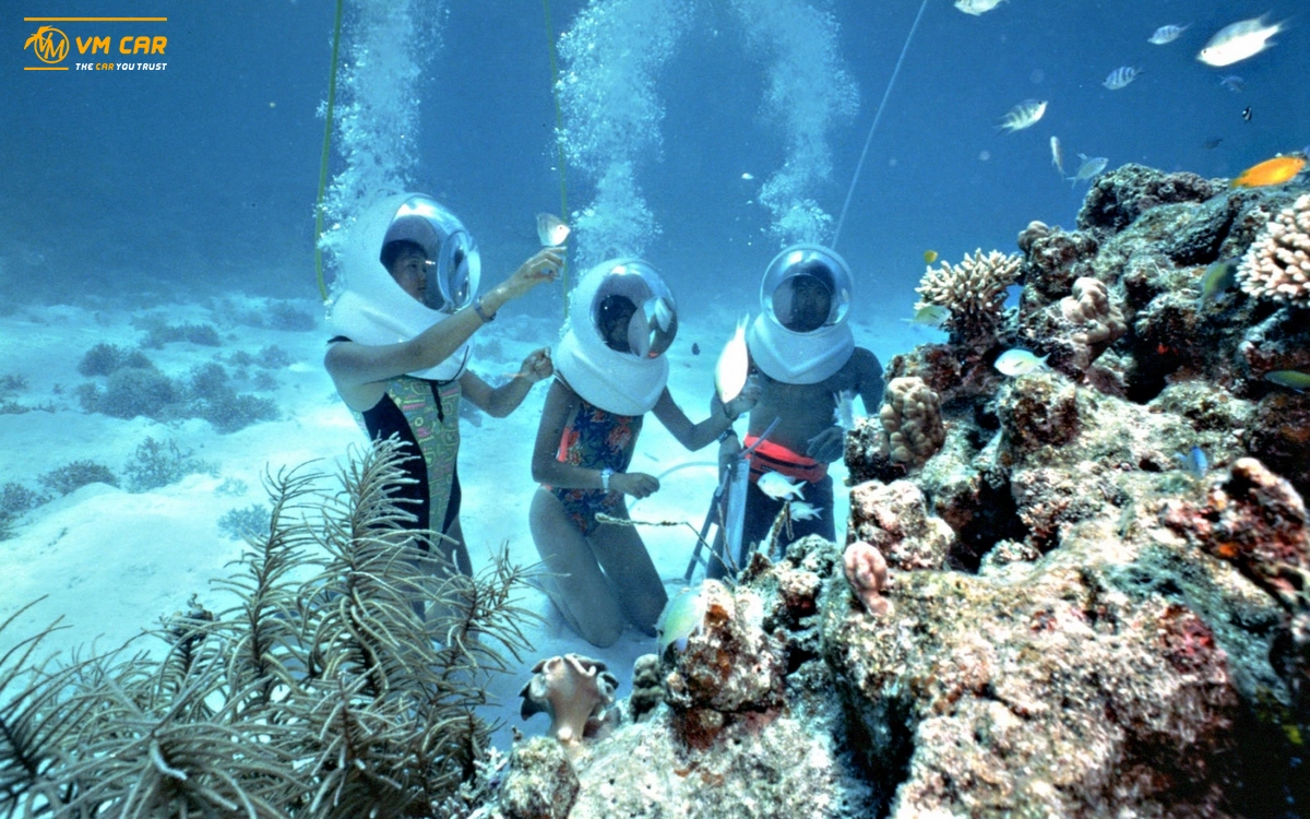 Cham Island snorkeling tour