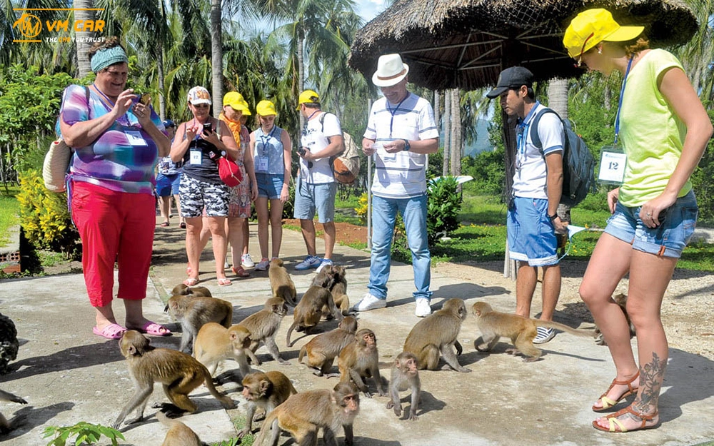 Hon Lao monkey island