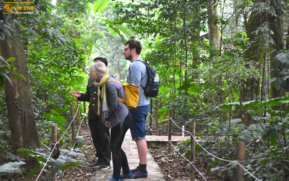 Cuc Phuong National Park