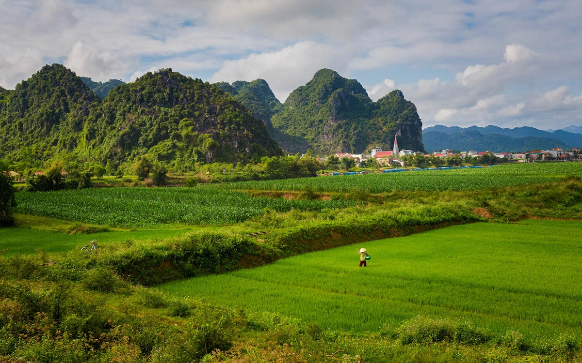 Phong Nha countryside