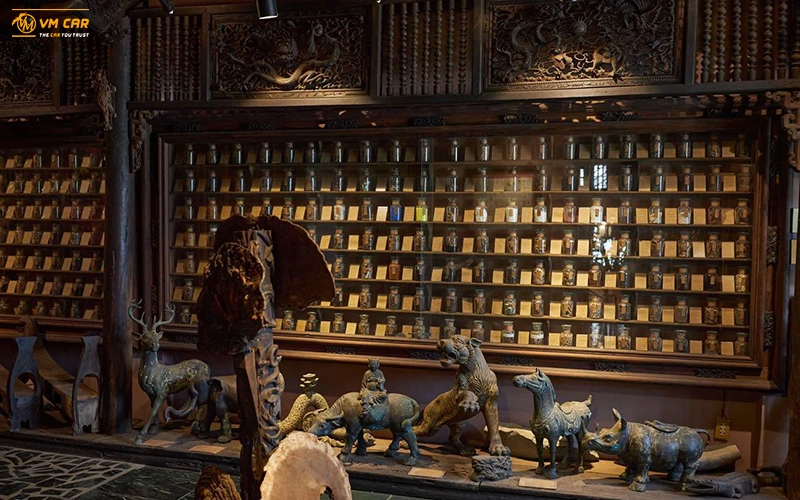 Museum of Traditional Medicines