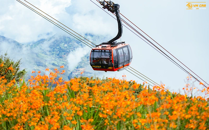 Flower season at Fansipan