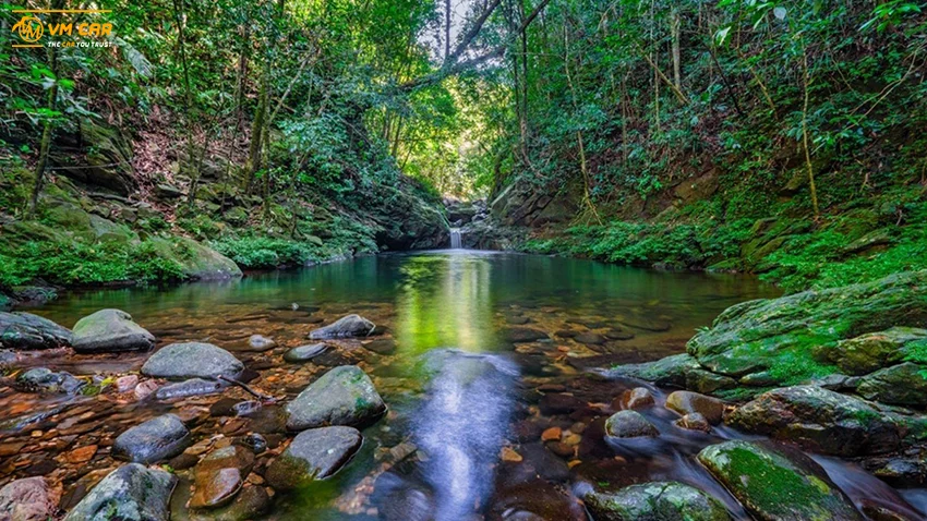 Ngu Ho Bach Ma National Park