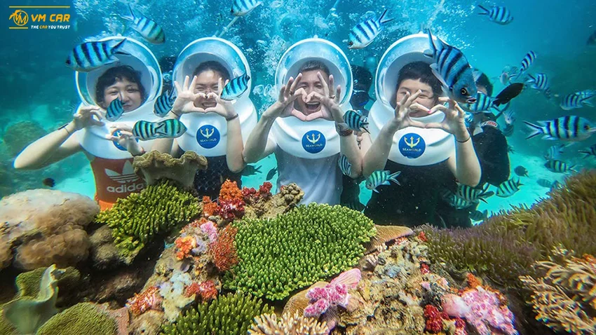 Coral diving in Phu Quoc