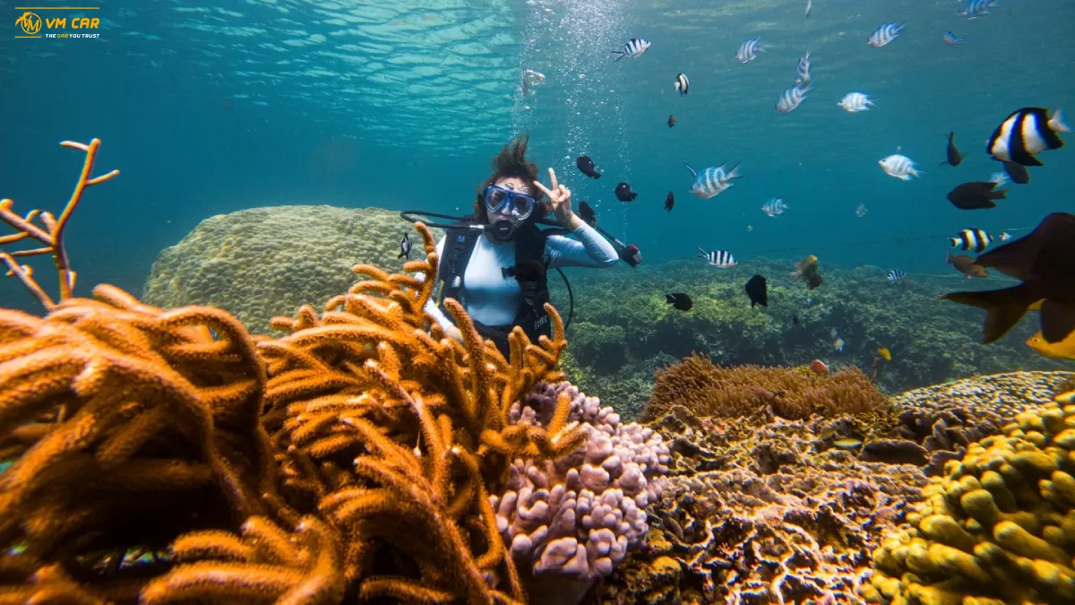 Snorkeling at Hon Mun Island Nha Trang