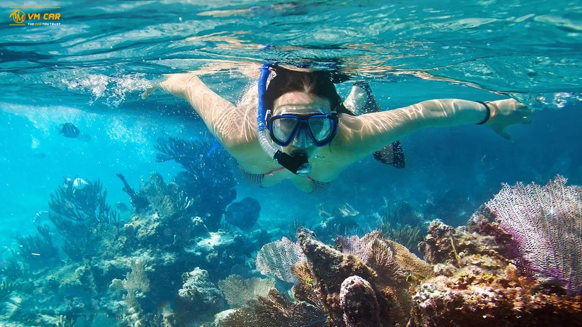 Phu Quoc 3-Island Tour By Speedboat 3 Snorkeling at Gam Gi Island