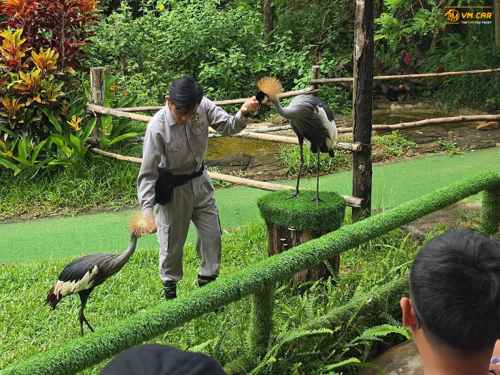 Book VinWonders & Vinpearl Safari Phu Quoc Tickets 13 Animal Show at Vinpearl Safari Phu Quoc