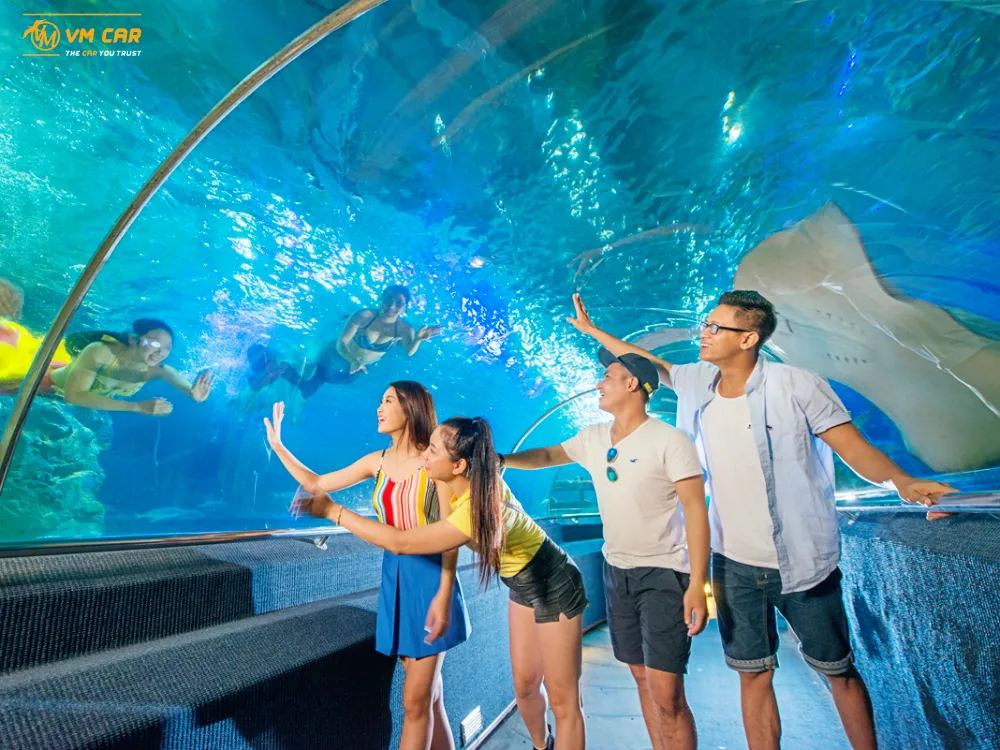 Book VinWonders & Vinpearl Safari Phu Quoc Tickets 5 vinwonders vinpearl safari phu quoc tickets–5
