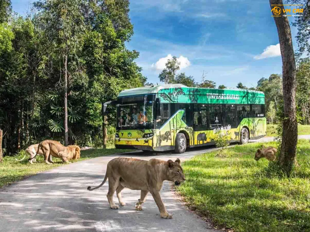 Book VinWonders & Vinpearl Safari Phu Quoc Tickets 8 vinwonders vinpearl safari phu quoc tickets–8