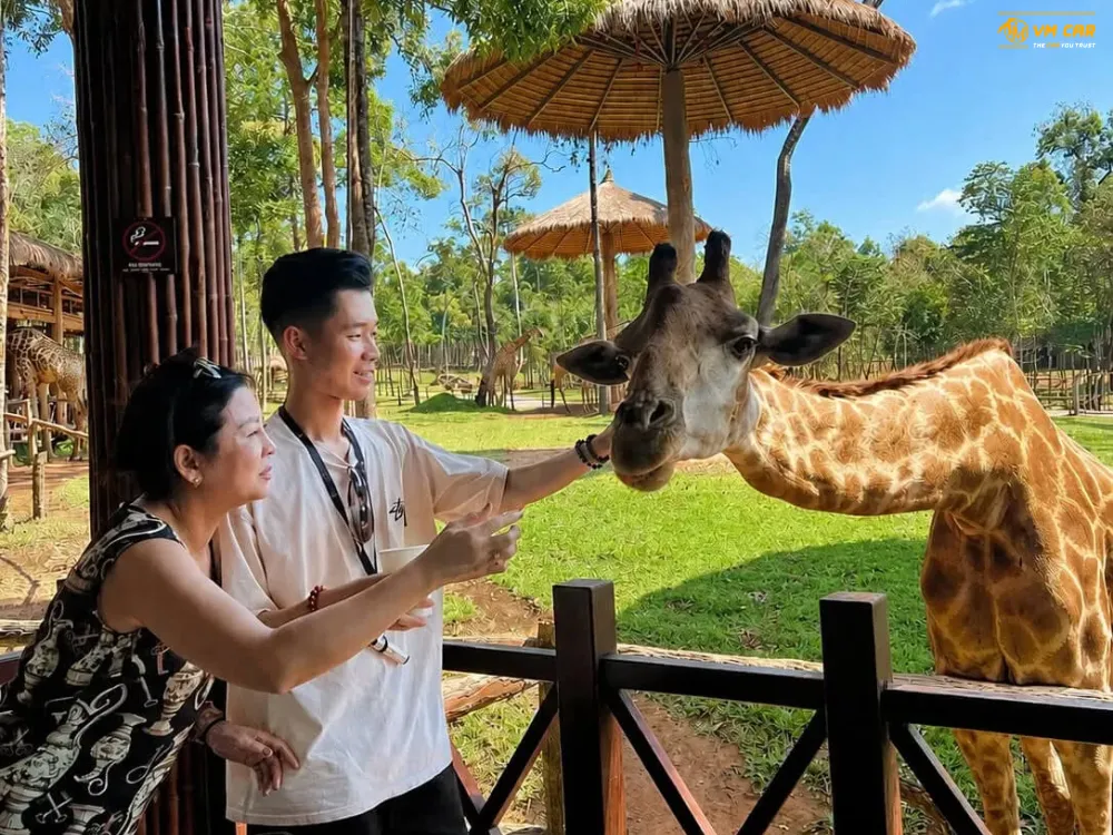 Book VinWonders & Vinpearl Safari Phu Quoc Tickets 9 Open ZOO at Vinpearl Safari Phu Quoc