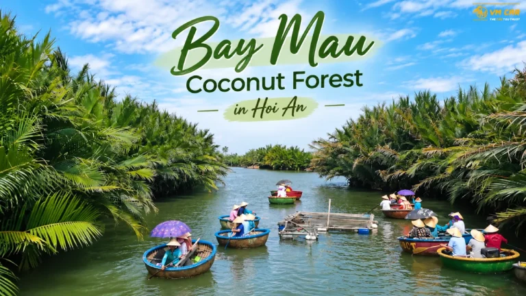 Bay Mau Coconut Forest Hoi An
