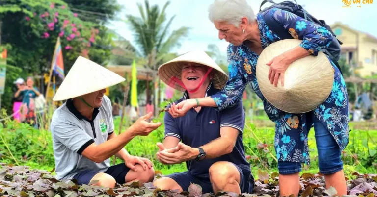 Hoi An to Tra Que Vegetable Vilalge by private car